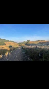 TERRA A VENDA 8 HECTARES - JUÁ 