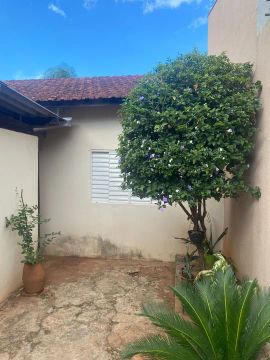 Edícula Kitnet fundos de casa familiar - ótima localização
