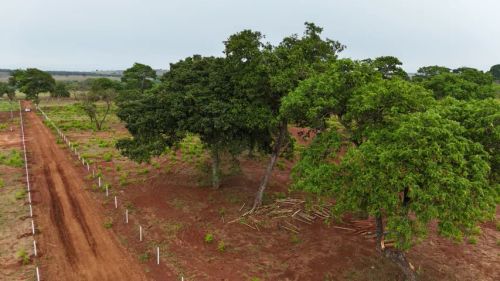 Área de 5.000 m² na saída para Rochedo   