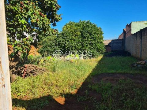 Terreno à venda, Jardim Maracanã - UBERABA/MG