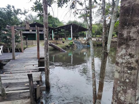 Sítio com casa e área verde à beira do rio perto da cidade 