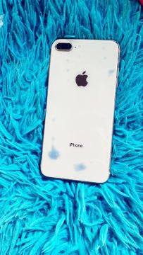 8 plus 256gb