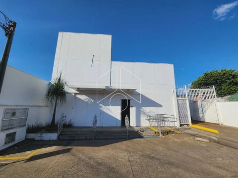 Comercial GalpãoBarracão em Marília