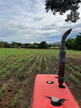 Vendo excelente sítio com 20 hectares direto com proprietário.
