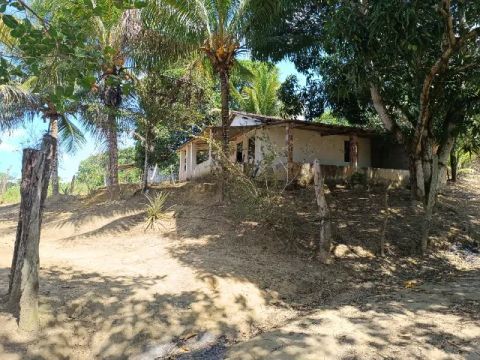 Refúgio na Natureza: Sítio com Casa - Abreu e Lima
