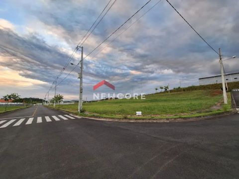 Lote em Rua Petúnia - Itinga - Joinville/SC