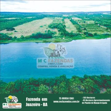 Fazenda de Manga à Venda em Juazeiro BA | 165 Hectares | 45 Hectares de Manga Irrigados