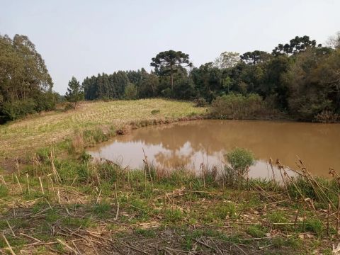 6 Hectares de terra próximo de Gramado 
