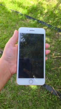 iPhone 8 plus 256 GB