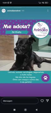 Zé Preto - Adote-me!