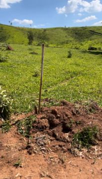 Terreno a venda, ótima  oportunidade!