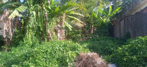 Terreno em sítio fragoso 