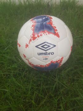 Bola de campo 