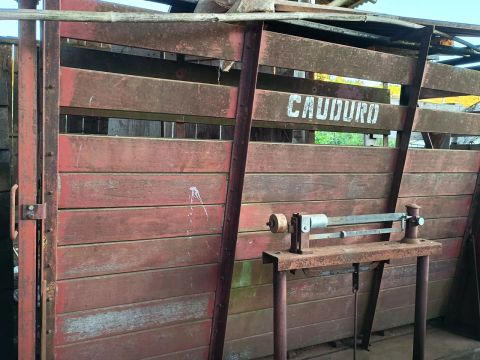 Balança Cauduro 