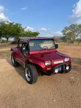 Buggy Fyber 