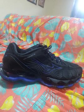Mizuno wave prophecy x