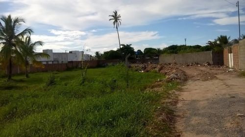 Terreno em pau amarelo 8 x 25m