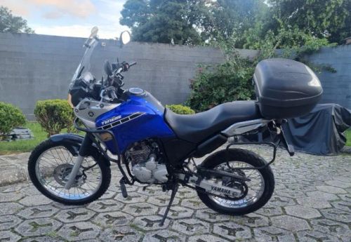TENERE 250 BLUEFLEX 15/16