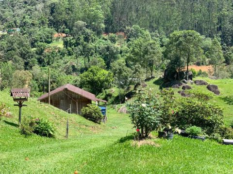 Sitio 3 hectares em Angelina 