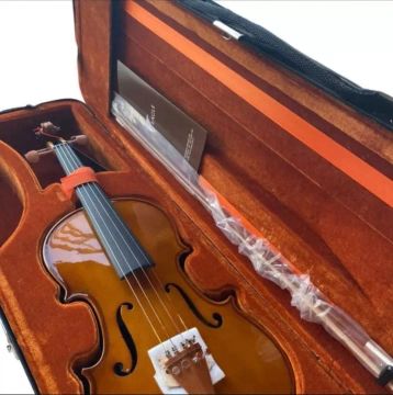 Violino 4/4 com Case - Novo