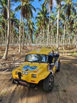 Buggy 1.6 