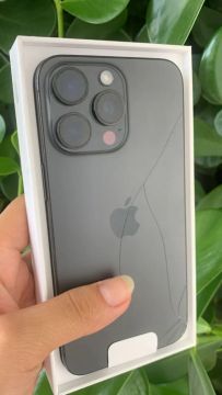 IPHONE 15 PRO MAX 256GB (DETALHE NO VIDRO TRASEIRO)