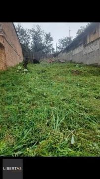 Terreno à venda Vila Jardim Porto Alegre/RS