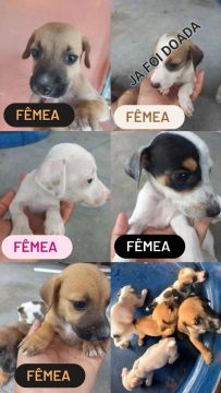 Leia a descrição.