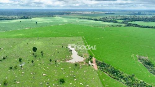 Fazenda à venda localizada a 36Km de Porto Velho