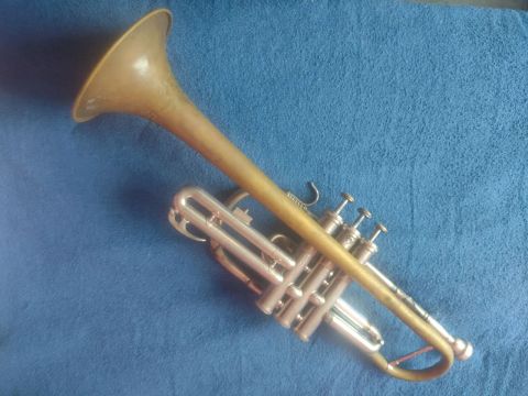 Trompete 350 reais