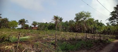 Terreno 50x80
