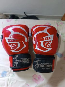 Luvas de Boxe Pretorian Elite Training