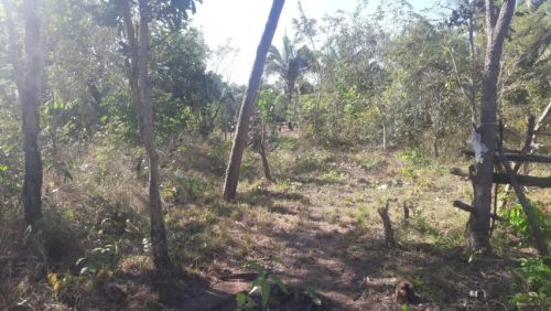 Lote rural 20x50