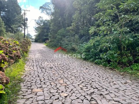 Lote em Avenida B - Alpes - São Francisco de Paula/RS