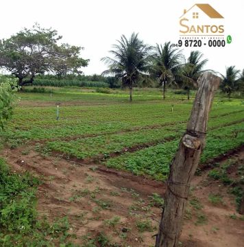 Terreno Na estrada que vai p/ Monte alegre, terrenos a partir de R$ 140,00, (Leia o texto)