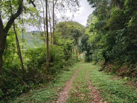 Área de terra bairro Floresta, Picada Café.RS REF: 373