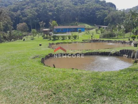 Sítio em Juquitiba SP área rural - Rurais - Juquitiba/SP