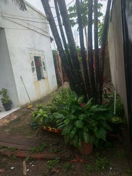 Casa no bairro Infraero 2 (Parque dos Buritis)