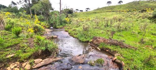 São Joaquim- Serra Catarinense- 15 hectares