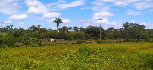 Fazenda em Nina Rodrigues MA