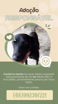 Cachorro macho de porte médio 
