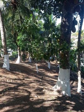TERRENOS CHÁCARAS EM SETIBA