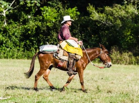 Fazenda e Hotel fazenda  A Venda em Corumbá, MS  1.540 Hectares