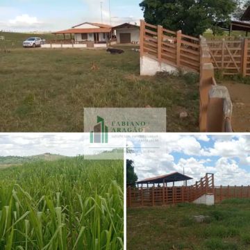 Vendo Fazenda de 385 tarefas em Dores/SE, para gado e milho. Estrutura Nova.