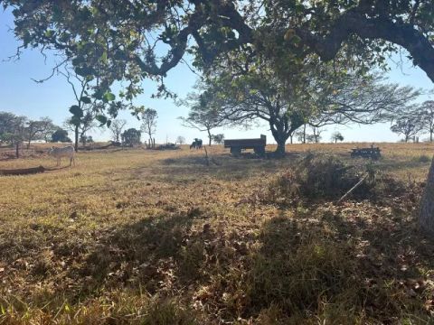 Fazenda a 4 kms do Asfalto em Ituiutaba-MG