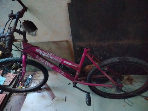 Bicicleta Super Champ