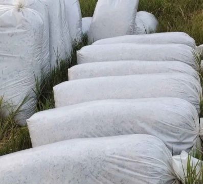 Sacos de silagem 20 kilos 