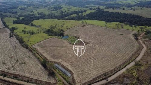 Sítio à venda, 22 alqueires por R$ 4.400.000 - Zona Rural - Jataizinho/PR