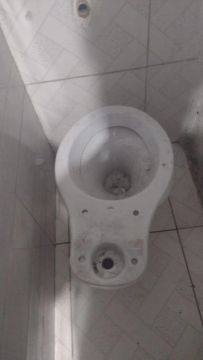 Vaso Sanitário Branco em Ótimo Estado
