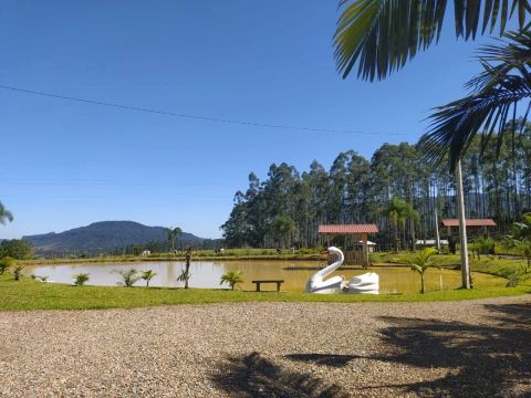 Vende-se sítio em José Boiteux, localidade do Ribeirão Grisebach.